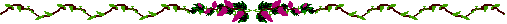 ~~~~~~~~~~~~~~~~~~ * ~~~~~~~~~~~~~~~~~~~